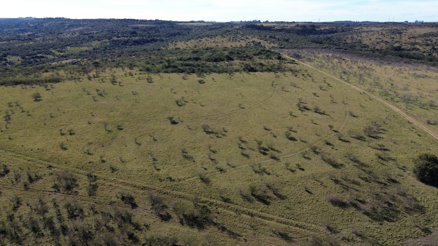 Commercial Property for Sale in Komga Eastern Cape